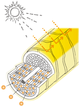 3種の高級美容成分